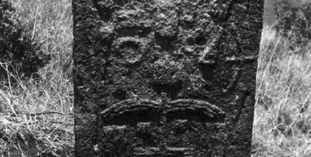 site_0012_0001-436-500-20250109113551