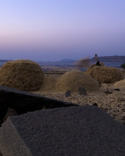 site_0015_0053-1000-666-20250109114036